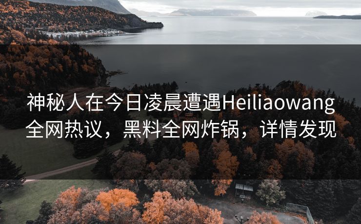 神秘人在今日凌晨遭遇Heiliaowang全网热议，黑料全网炸锅，详情发现
