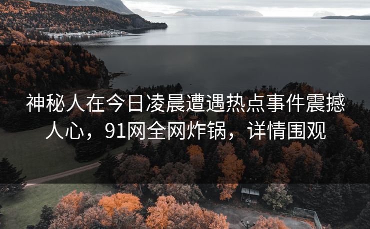 神秘人在今日凌晨遭遇热点事件震撼人心，91网全网炸锅，详情围观
