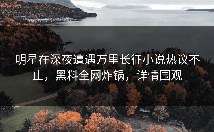 明星在深夜遭遇万里长征小说热议不止，黑料全网炸锅，详情围观